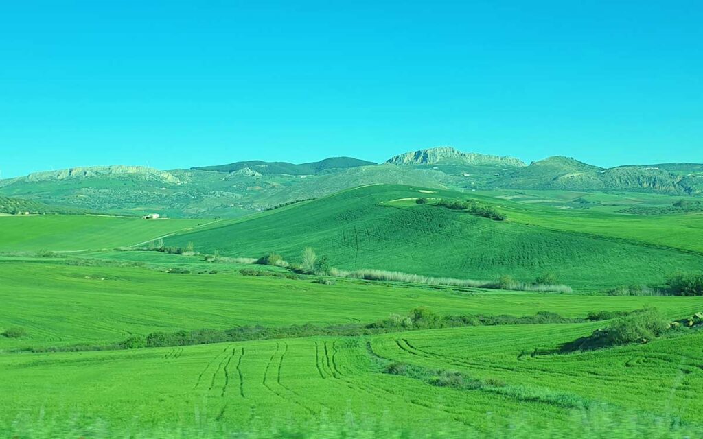 Hügelige Landschaft in der Provinz Cádiz auf dem Weg nach Setenil de las Bodegas