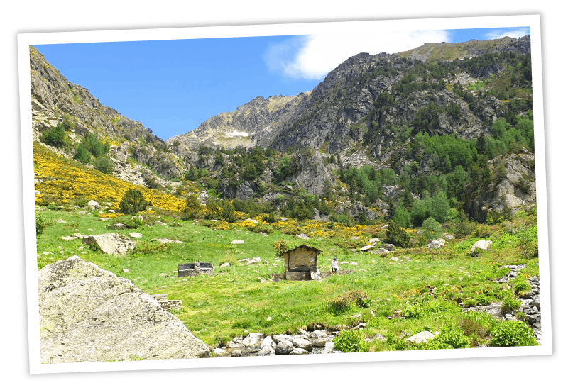 Eine sonnige, grüne Berglandschaft mit gelb blühenden Sträuchern, einem kleinen Steinhäuschen auf einer Wiese und einem Bach im Vordergrund, umgeben von schroffen, felsigen Berghängen.