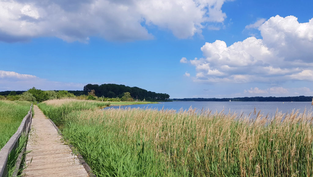 Ostsee Schleswig Holstein Travemünde Priwall Wandern Naturschutzgebiet