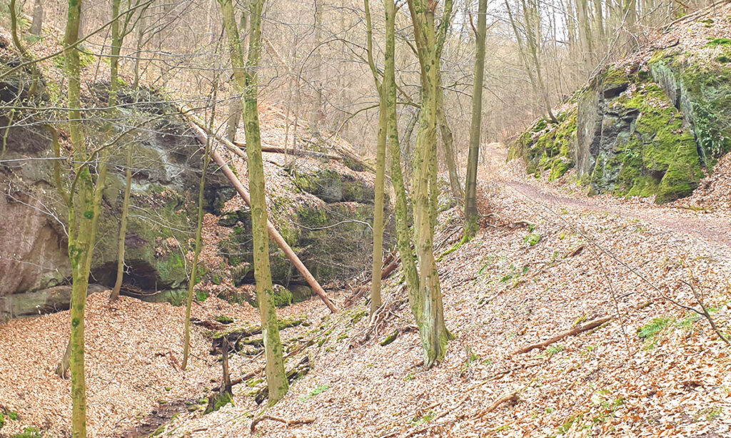 Ein naturbelassener Wanderweg führt vorbei an den bewachsenen Felsformationen der Ludwigsklamm im Johannistal bei Eisenach.