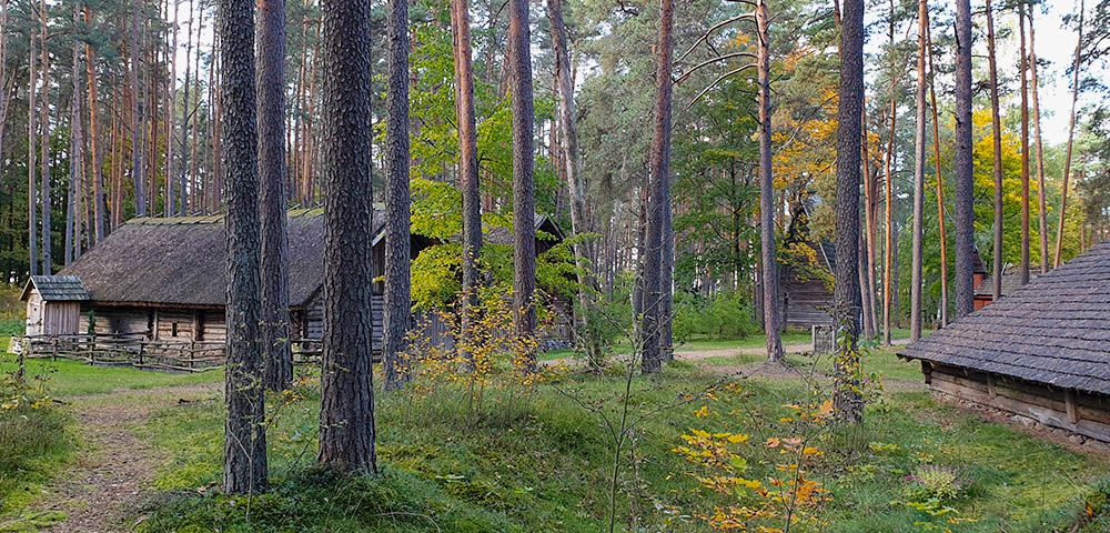 nachbebautes Dorf im Freilichtmuseum Riga 