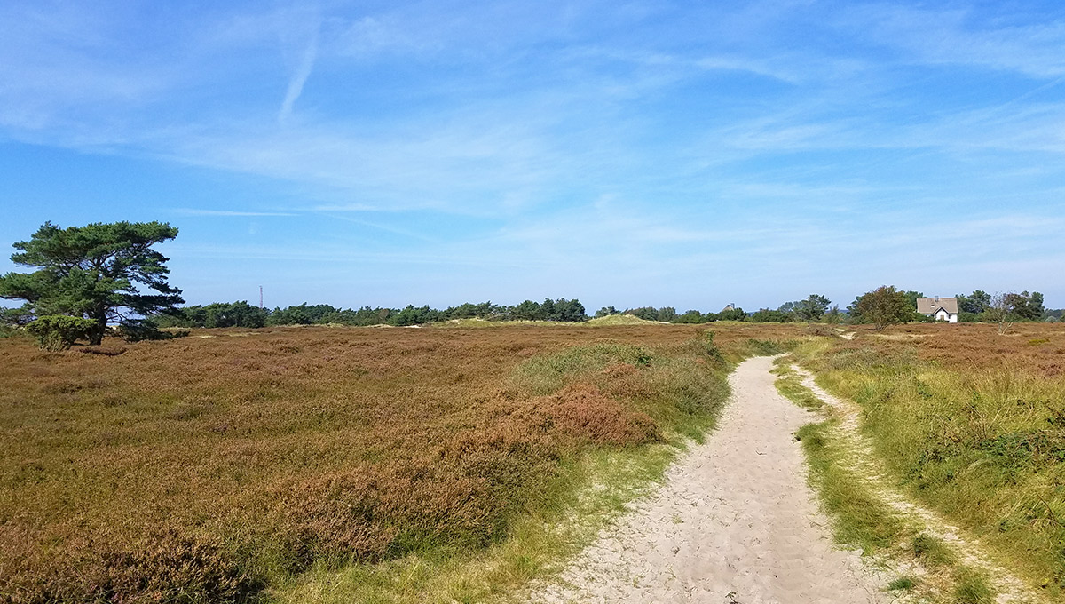 Insel Hiddensee | Reisetipps für Mecklenburg-Vorpommern