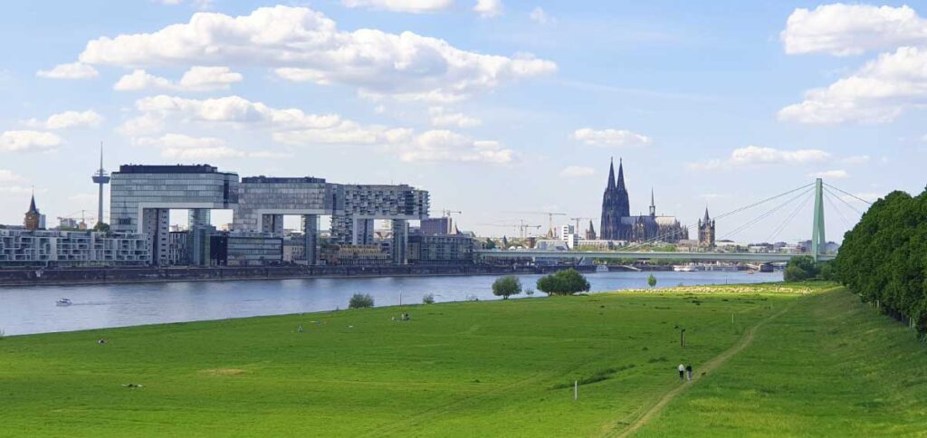 Weiter Blick über die grünen Rheinwiesen in Köln auf den Rhein, die drei Kranhäuser, die Severinsbrücke und den Kölner Dom unter blauem Himmel.