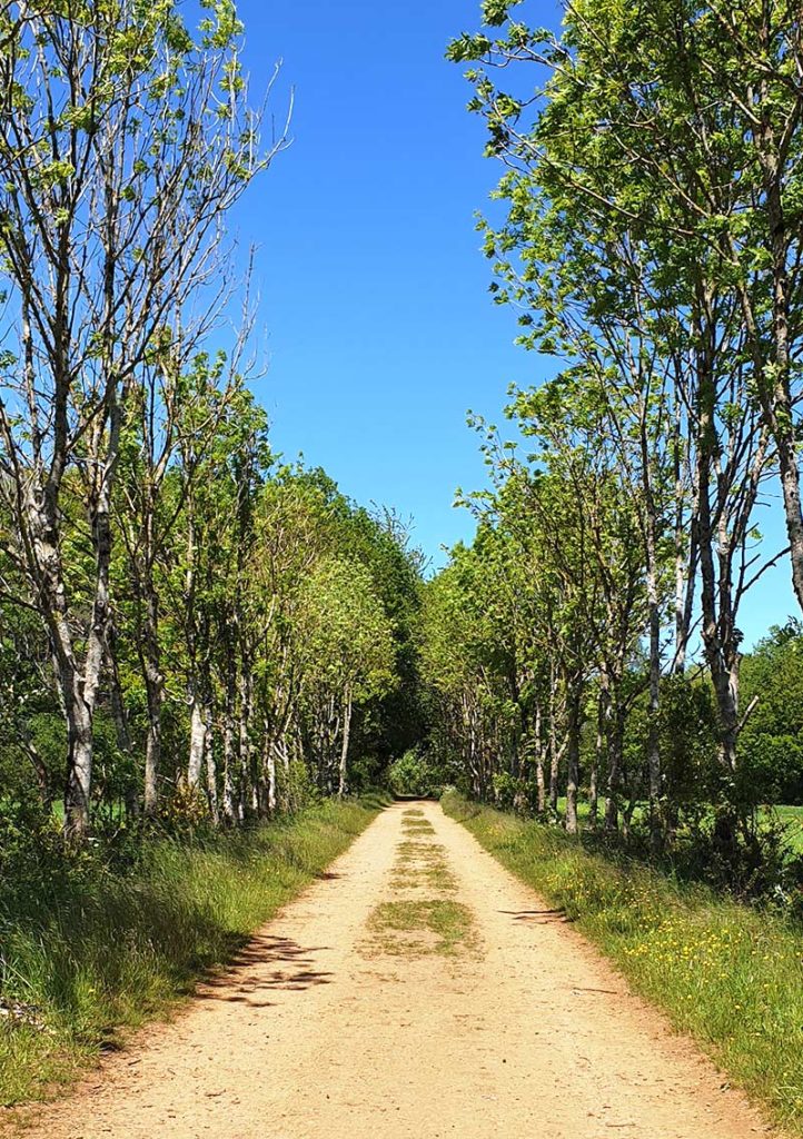 Wanderung Dudelange 2 Feldweg