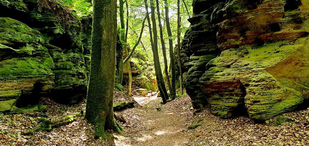 Wandern in Luxemburg - Landschaft am Siweschlëff