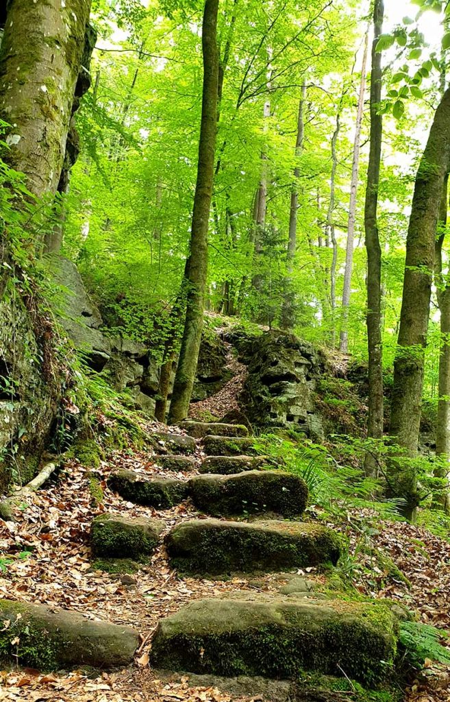 Wandern in Luxemburg - Ponteschgronn