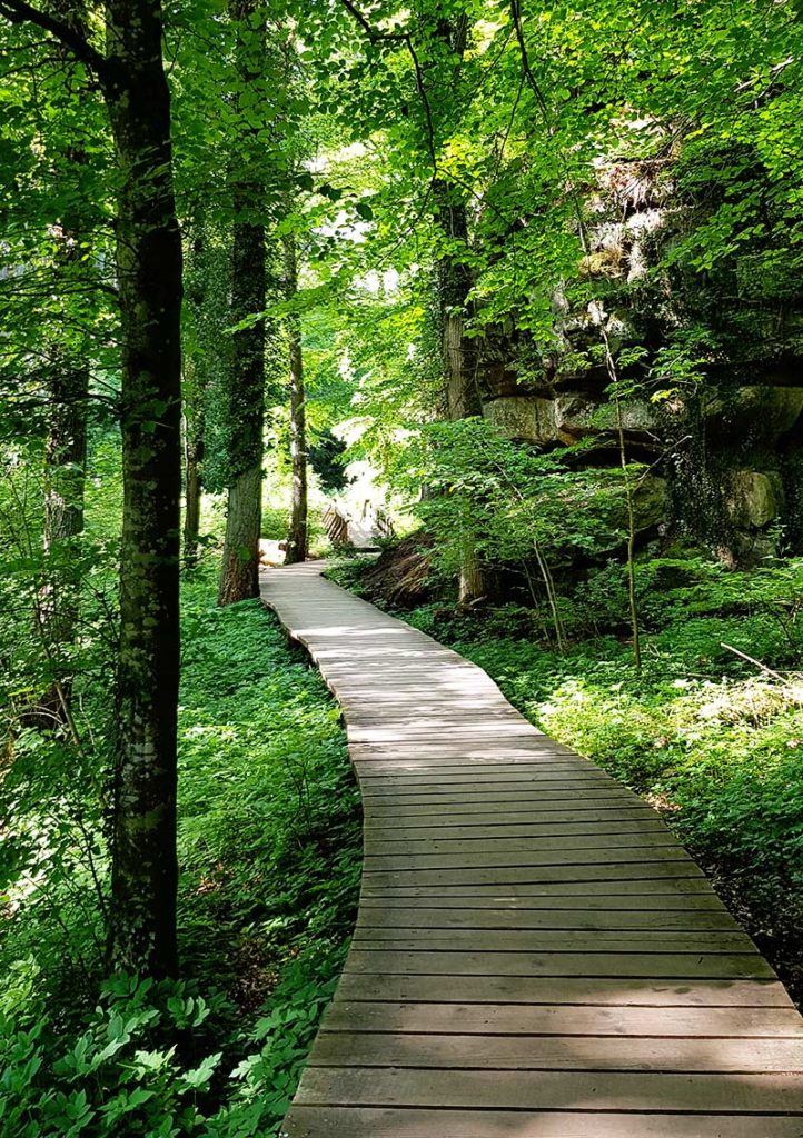 Wandern in Luxemburg - Weg zur Kallektuffquelle