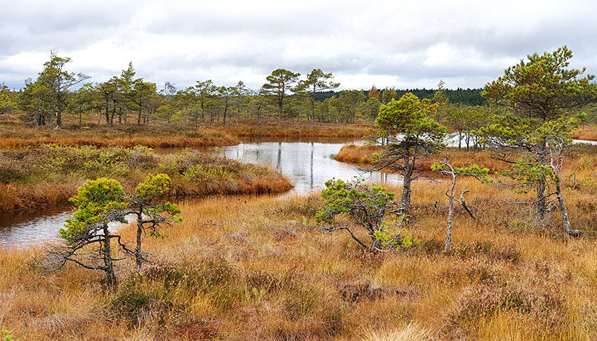 Ausflugsziele rund um Riga - Kemeri Nationalpark