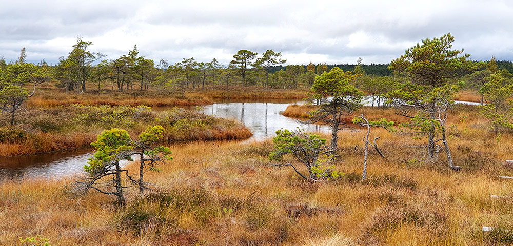 Ausflugsziele rund um Riga - Kemeri Nationalpark