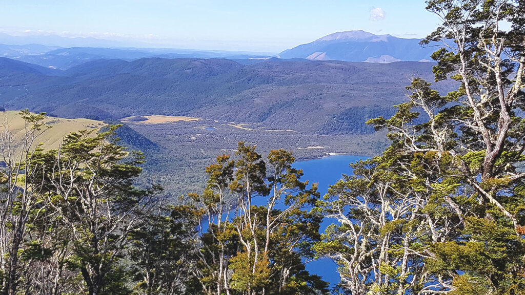 Ein Blick durch die Äste eines alten Buchenwaldes am Hang des Mount Robert auf den tiefblauen Lake Rotoiti und das dahinter liegende Tal in Neuseeland.