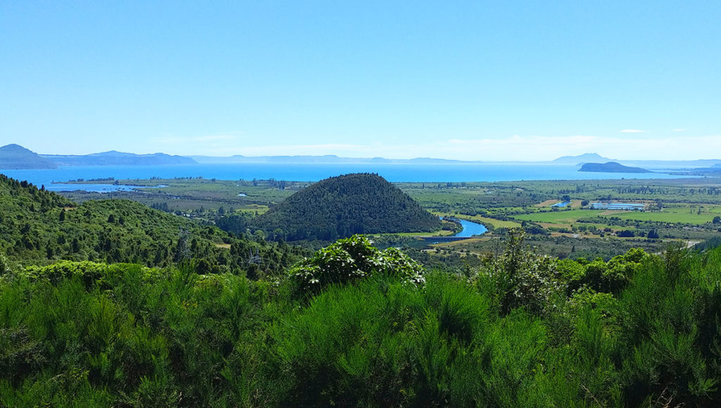 Neuseeland Reisetipps Aussicht Lake Taupo