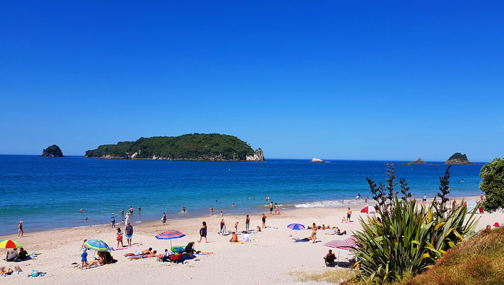 Neuseeland Reisetipps Aussicht auf den Strand an der Coromandel Halbinsel