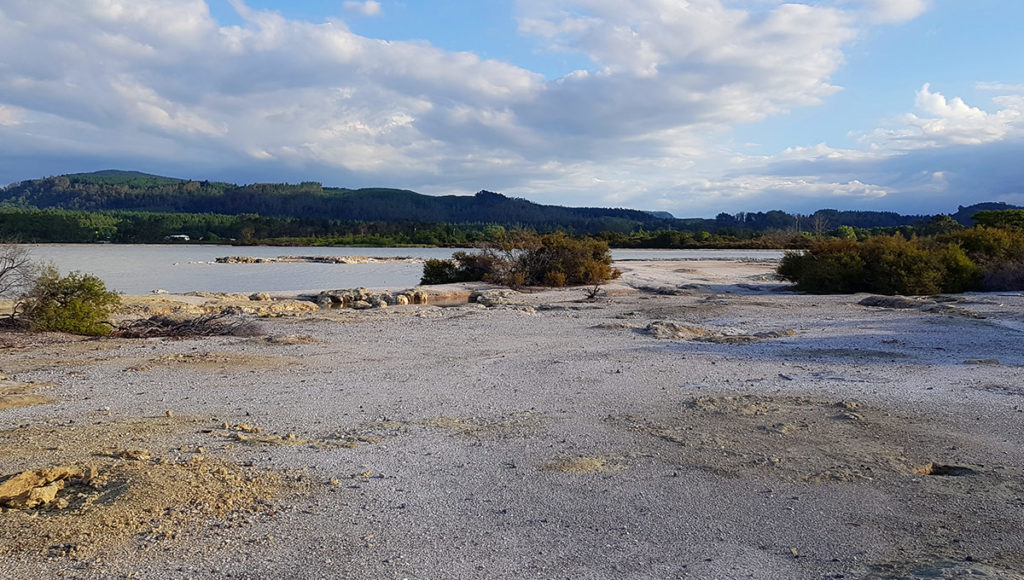 Aussicht auf Lake Rotorua