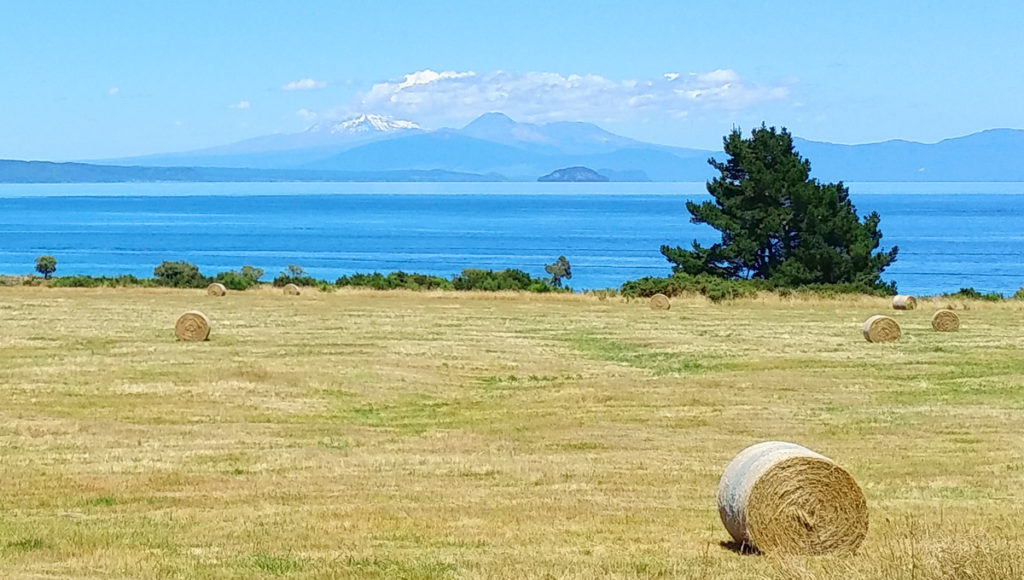 Neuseeland Reisetipps Lake Taupo