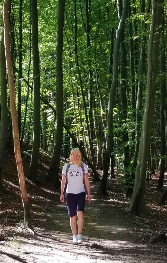 Wandern durch den Buchenwald im Nationalpark Jasmund auf Rügen