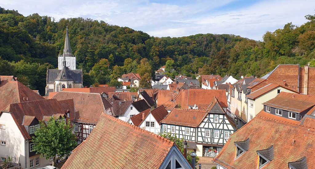 Aussicht von der Burg auf Eppstein