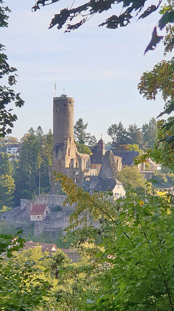 Aussicht auf Burg Eppstein vom Malerplatz