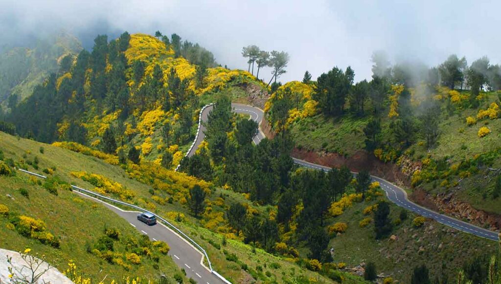 Straße auf Madeira