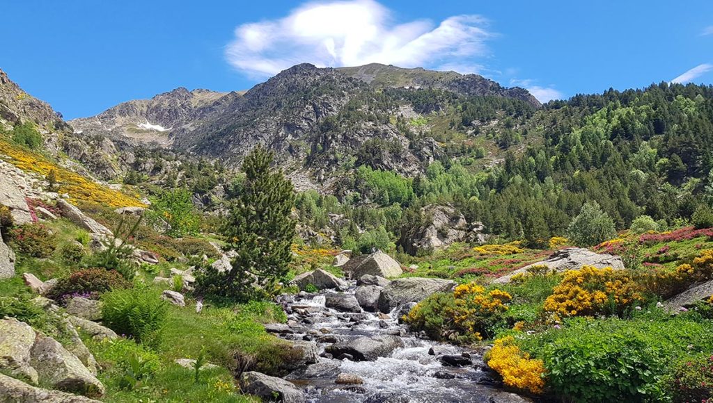 Landschaft in Andorra