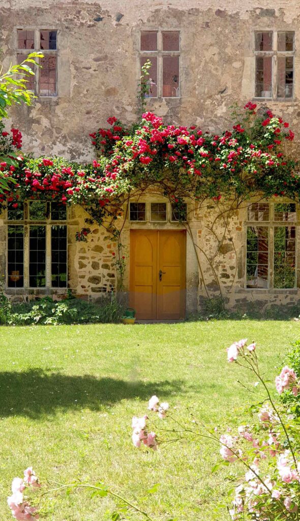 Rosengarten im Stadtmuseum Zerbst/Anhalt