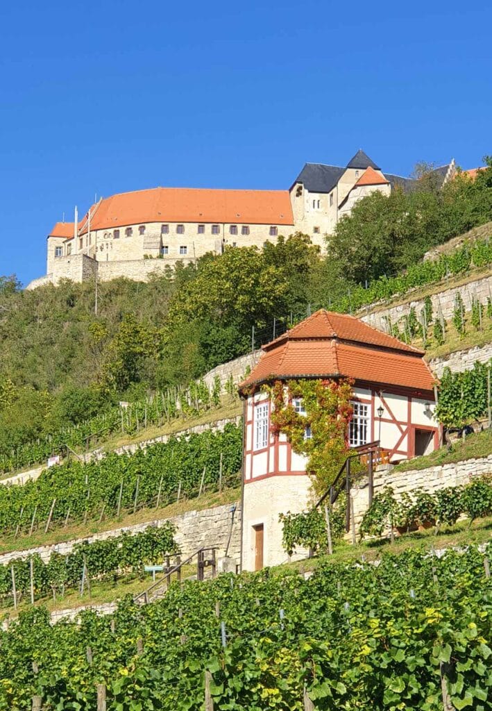 Schloss Neuenburg und der Herzogliche Weinberg