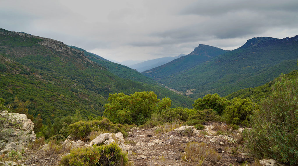 Sardinien Rundreise Roadtrip Reisetipps Landesinnere Barbagia