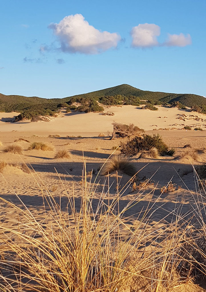 Sardinien Rundreise Roadtrip Reisetipps Sehenswürdigkeiten Dune de Piscinas