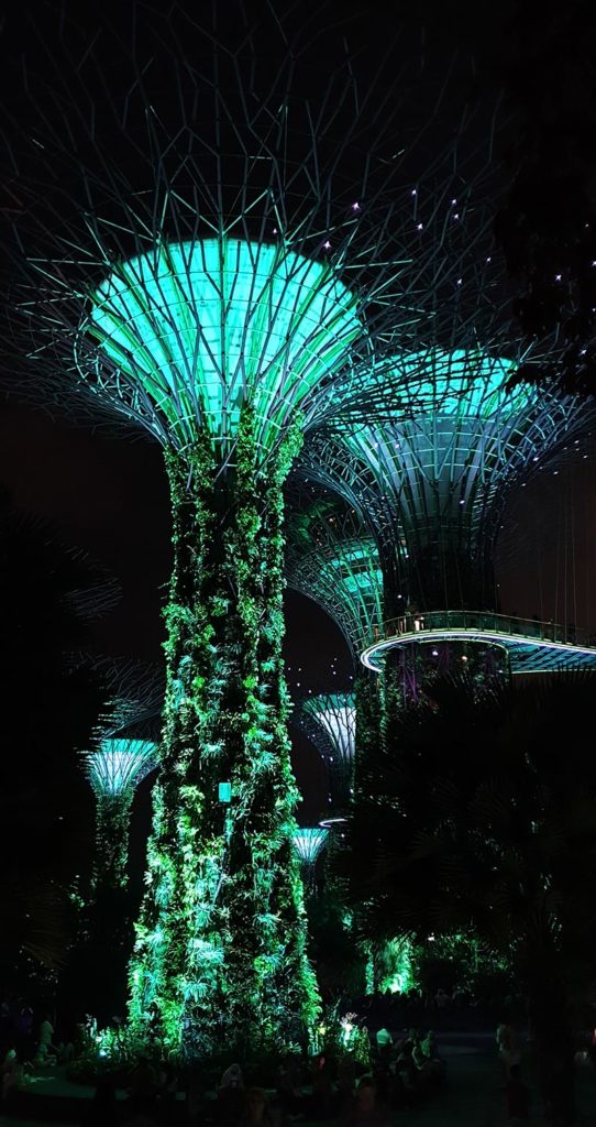 Supertrees Lightshow Singapur