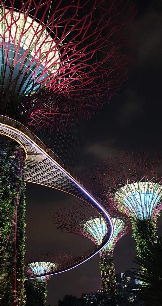 Supertrees Lightshow Singapur