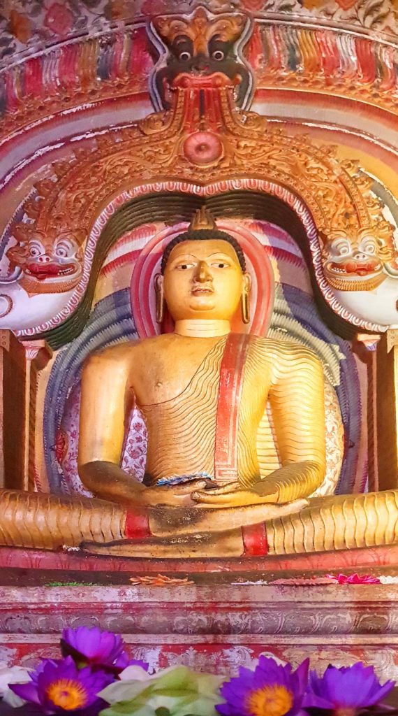 Sri Lanka Dambulla Höhlentempel Lotus Buddha