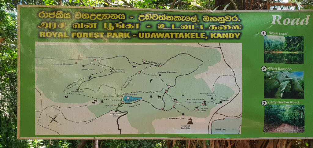 Sri Lanka Kandy Karte Royal Forest Park