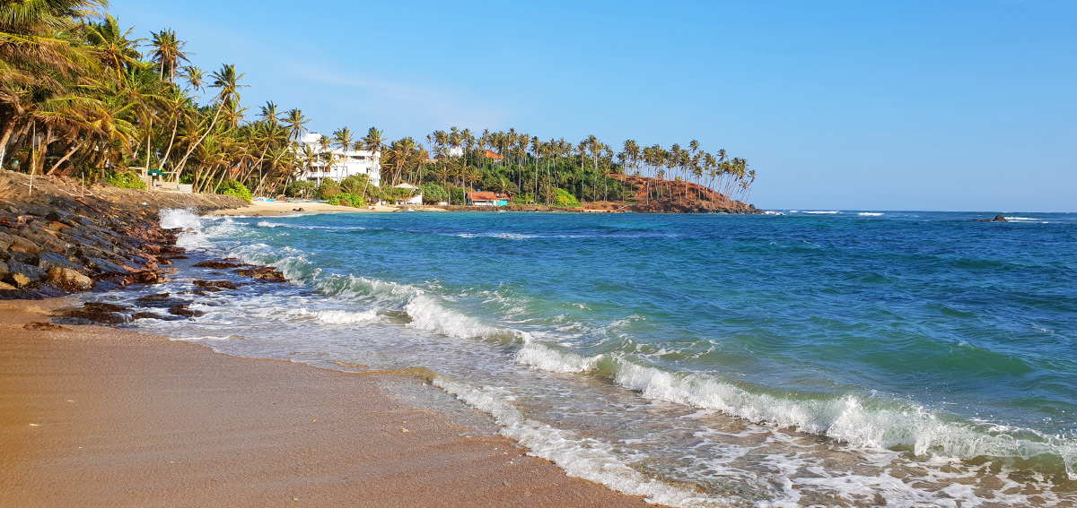 Sri Lanka Mirissa Strand beach Coconut tree Hill