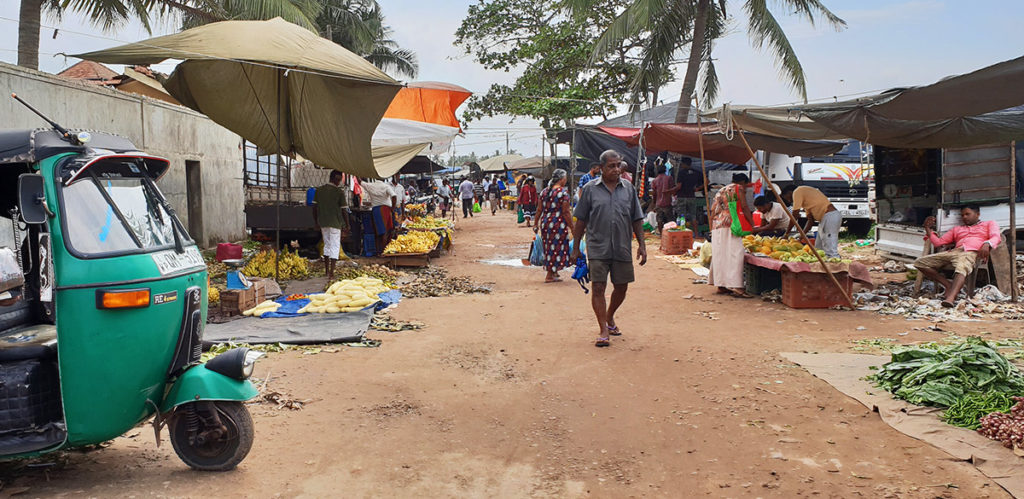 Sri Lanka Negombo Fischmarkt Markt Sunday Street Market
