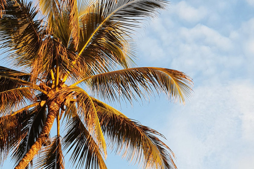 Sri Lanka Reisetipps