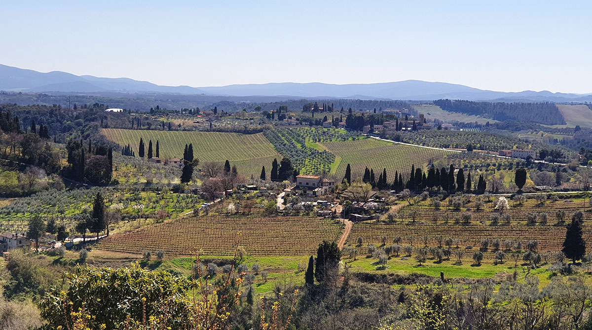 Toskana Landschaft bei San Gimignano